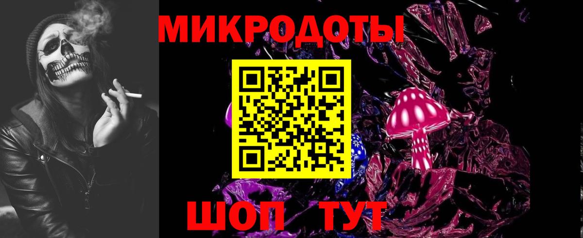 Галлюциногенные грибы Psilocybe Обь